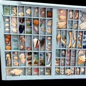 Chic Coastal Vintage Printers Tray